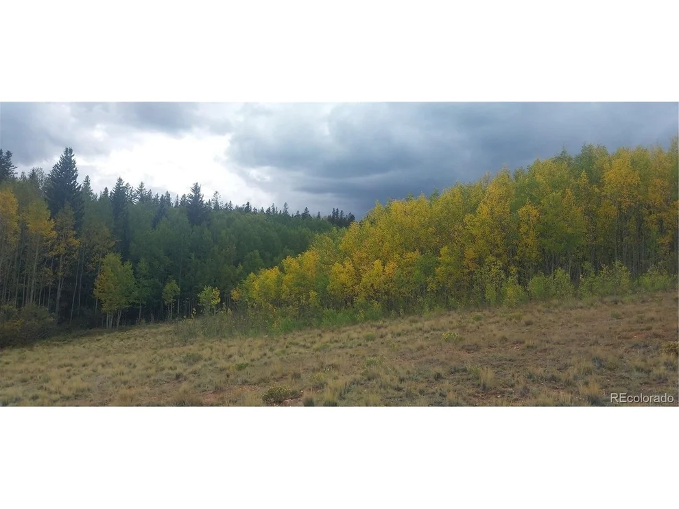 Unit for sale at 562 Palmer Peak Dr, Fairplay, CO 80440