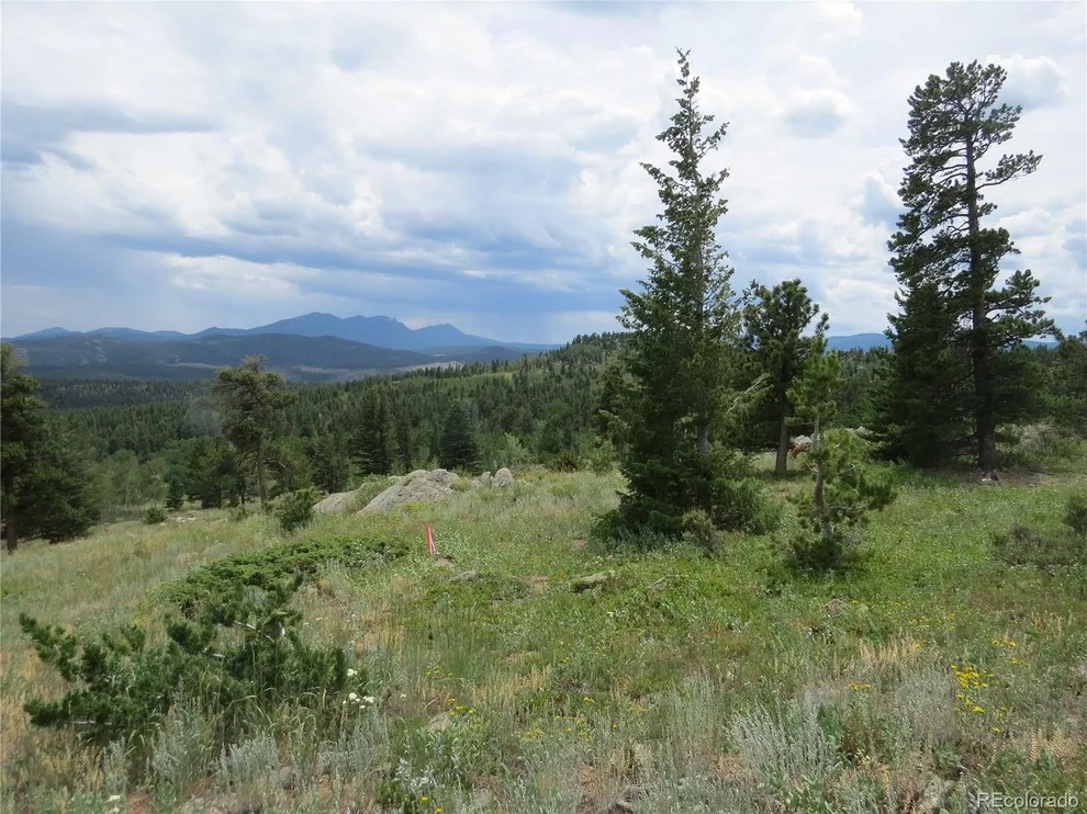 Unit for sale at Peak to Peak Hwy, Nederland, CO 80466