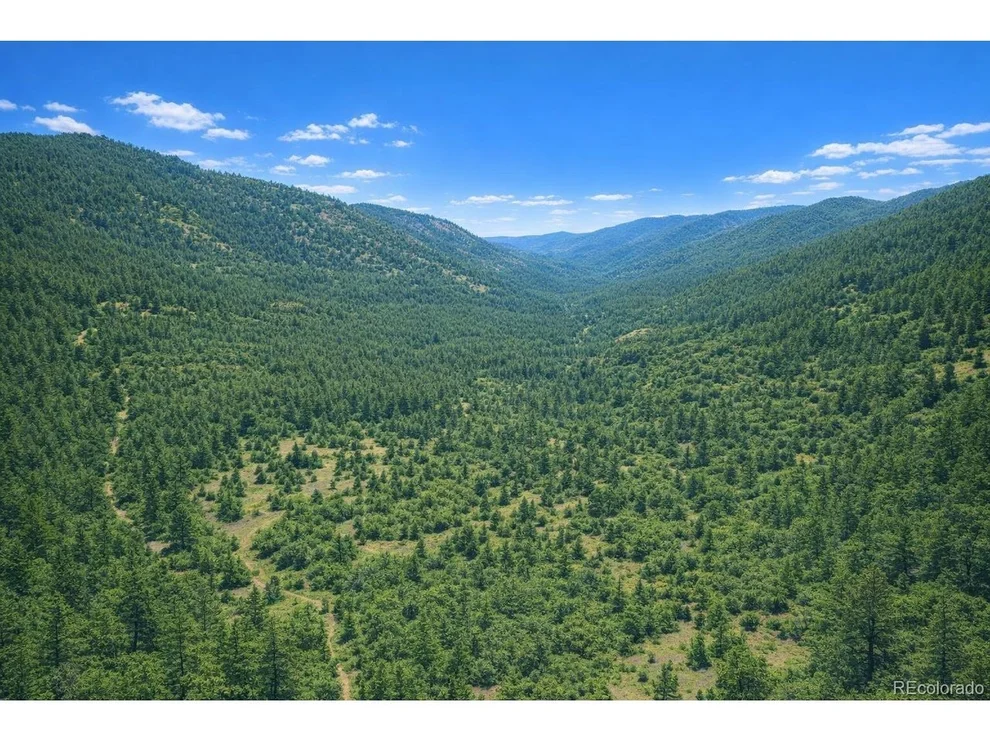 Unit for sale at 0 Arrowhead Rd, Florissant, CO 80816