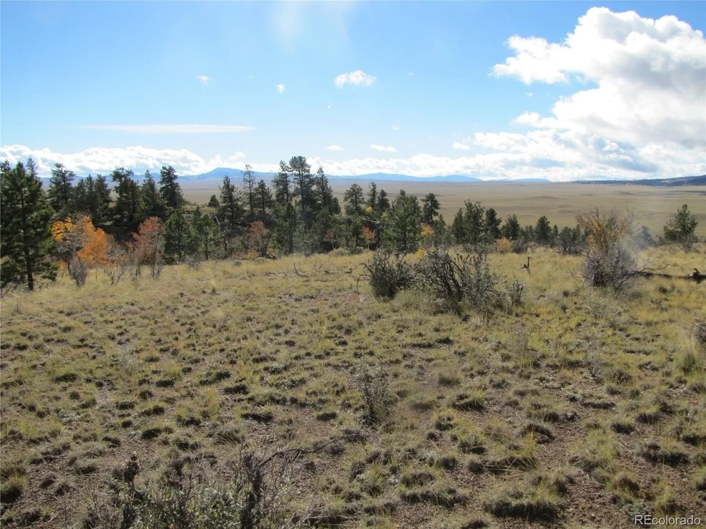 Unit for sale at 206 Bandolier Ct, Hartsel, CO 80449