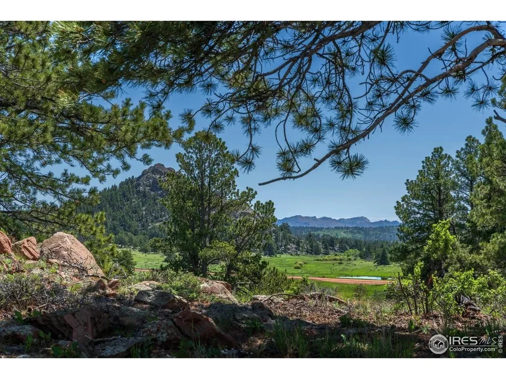 Unit for sale at Mountain Pony Rd, Livermore, CO 80536