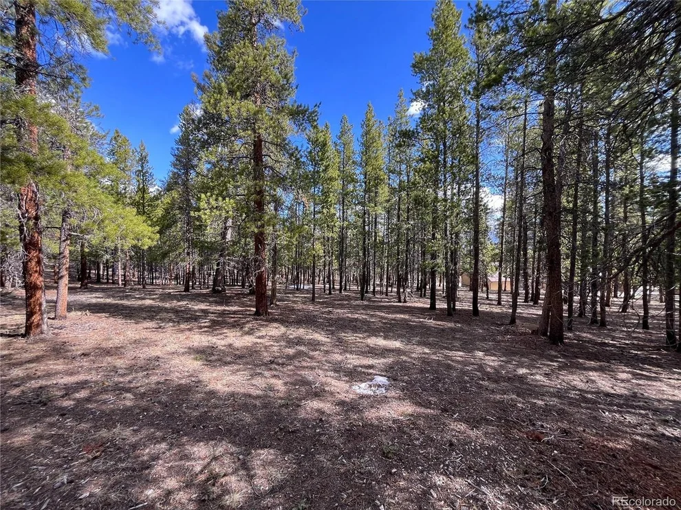 Unit for sale at 30336 National Forest Dr, Buena Vista, CO 81211