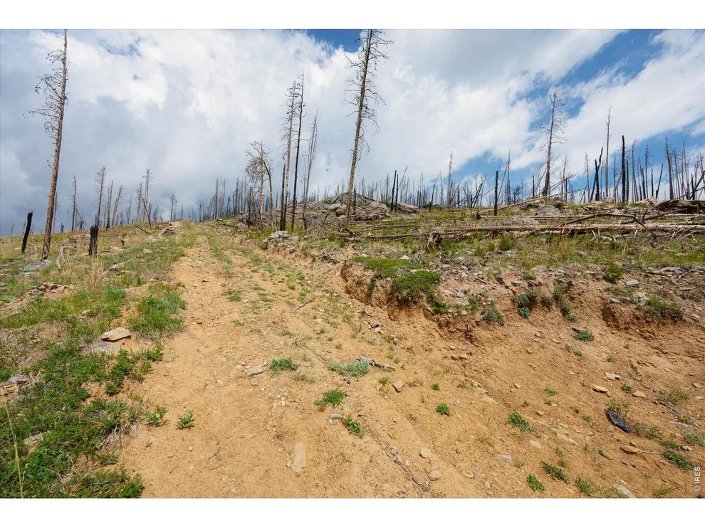 Unit for sale at 30 Sheep Horn Ct, Bellvue, CO 80512