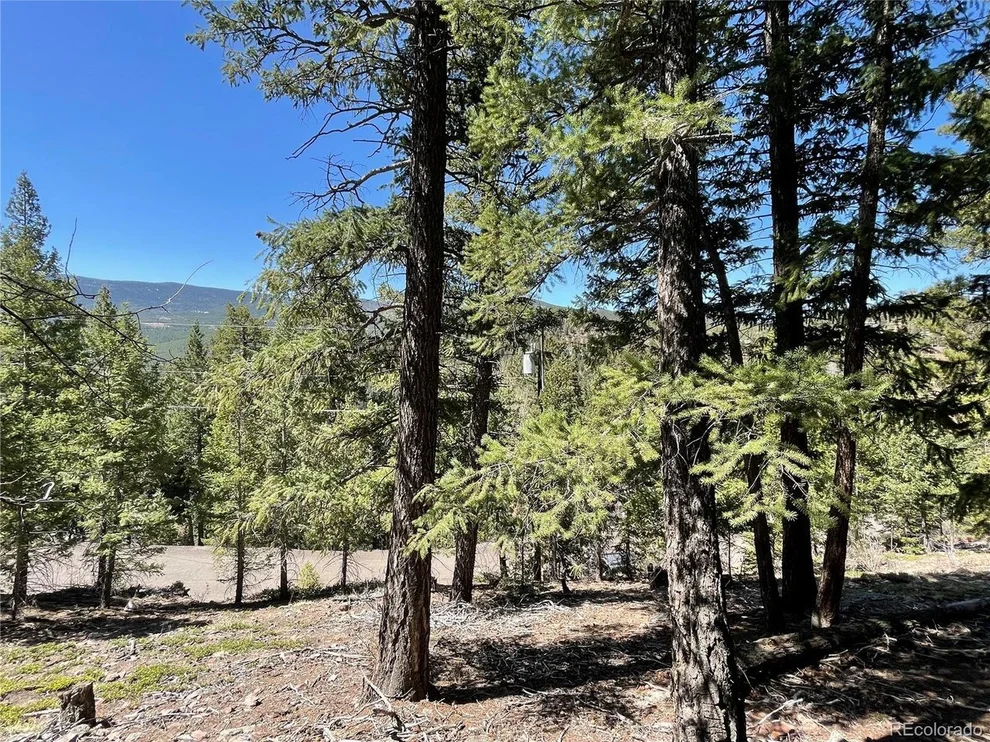 Unit for sale at 33483 Elk Run, Evergreen, CO 80439