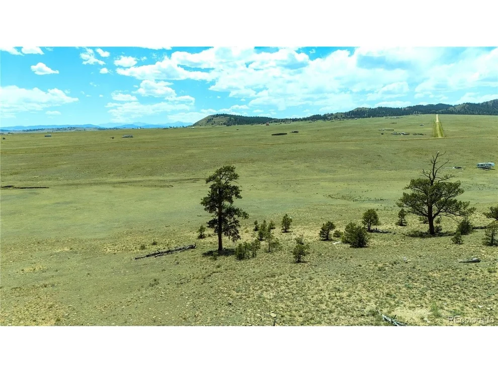 Unit for sale at 1408 Larimer Dr, Hartsel, CO 80449