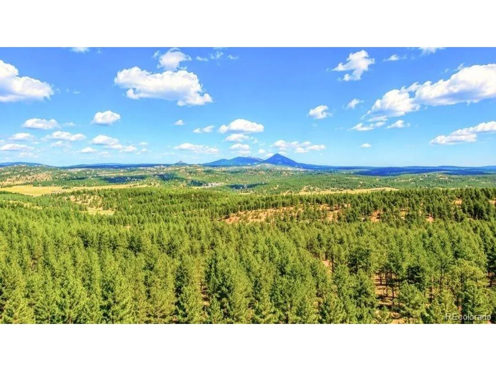 Unit for sale at 196 Freeman Dr, Florissant, CO 80816