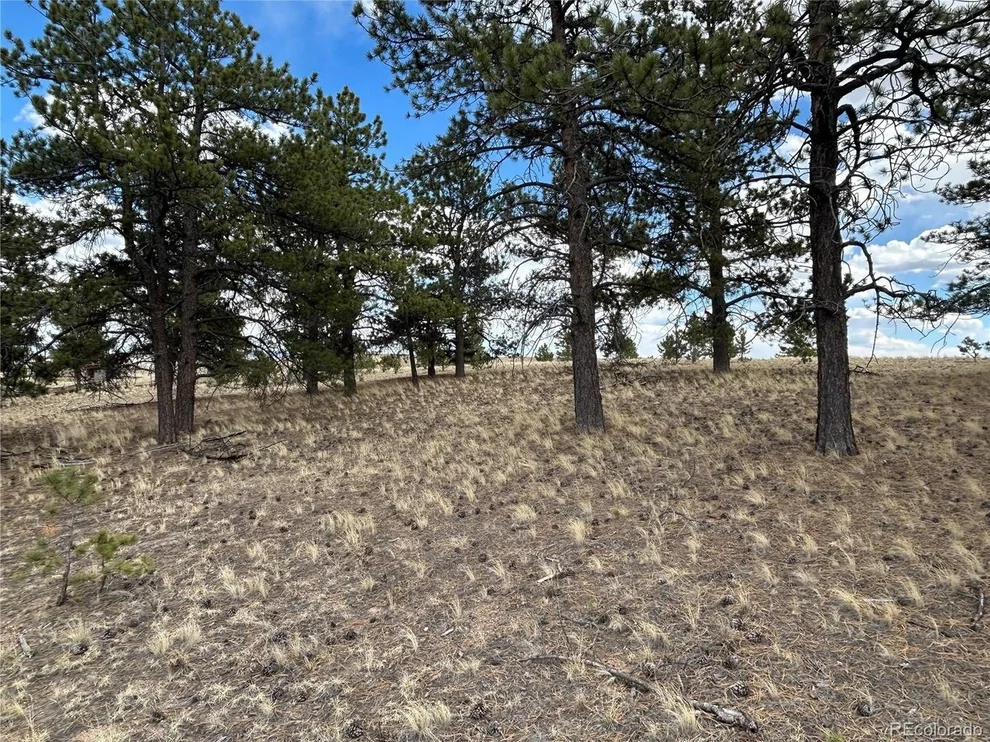 Unit for sale at 565 Brahma Cir, Hartsel, CO 80449