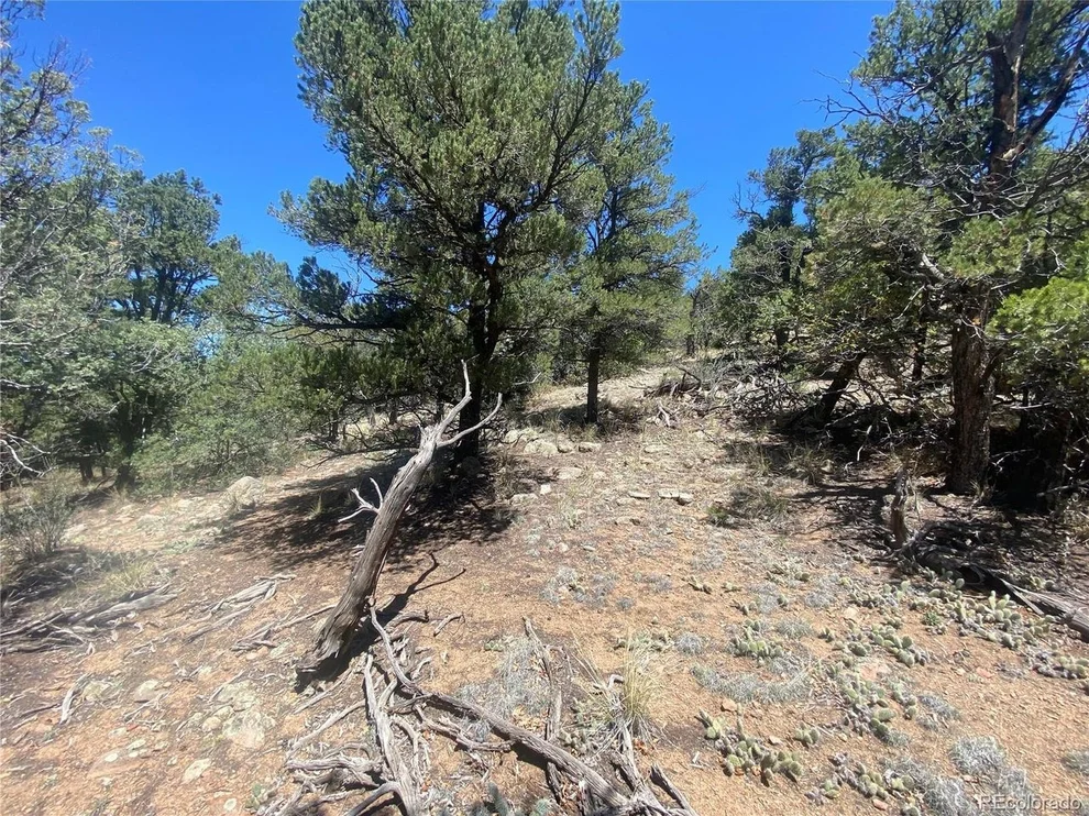 Unit for sale at 142 17th Trl, Cotopaxi, CO 81223