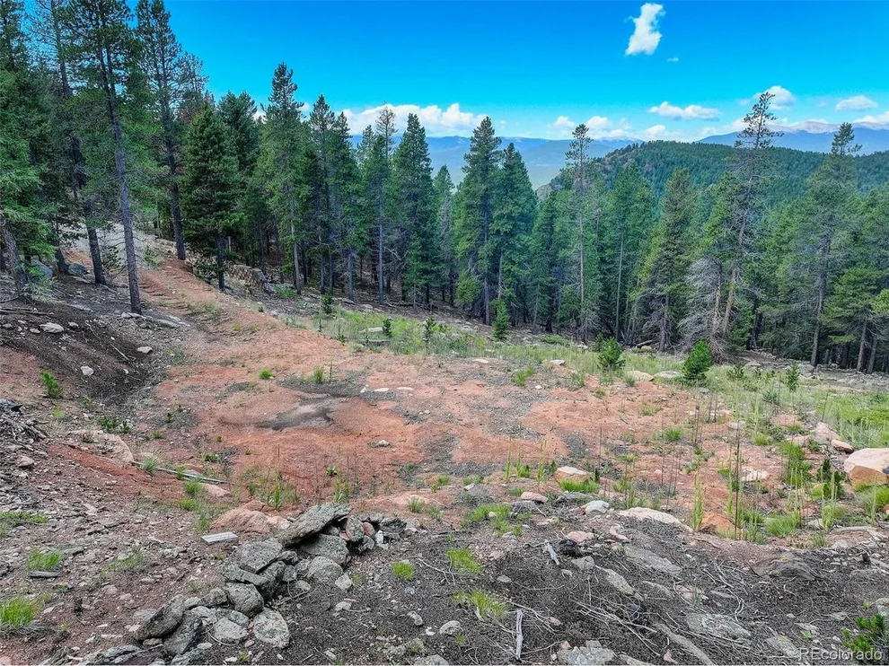 Unit for sale at 11275 Bear Run Trl, Conifer, CO 80433