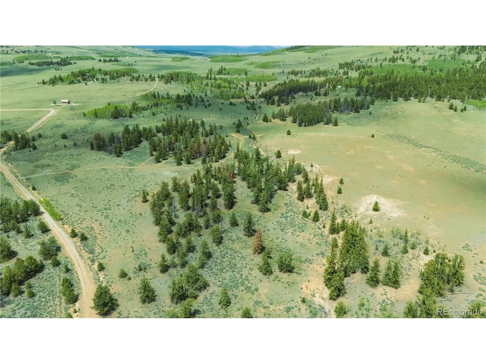 Unit for sale at 2662 Willow Creek Ln, Fairplay, CO 80440
