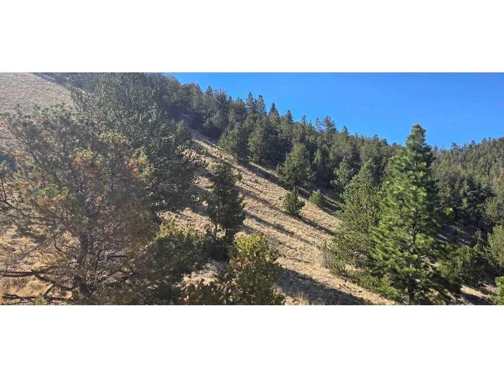 Unit for sale at 0 County Road 41g (Camero Road), Center, CO 81125