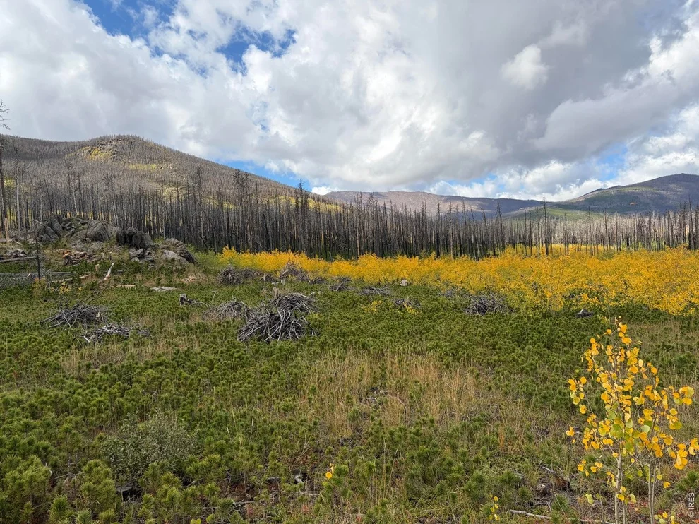 Unit for sale at 2025 Granite Rd, Bellvue, CO 80512