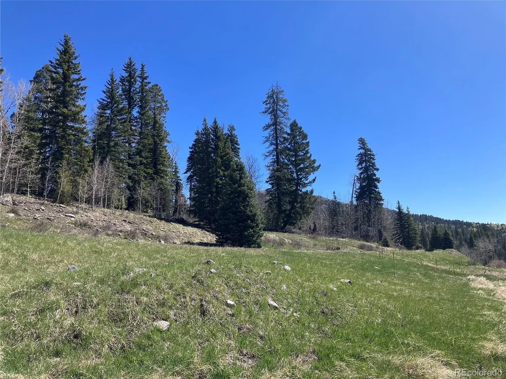 Unit for sale at 222 Lost Valley Dr, Creede, CO 81130