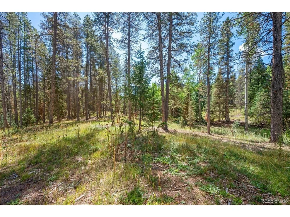 Unit for sale at 1 Lot 12 Indian Springs Rd, Conifer, CO 80433
