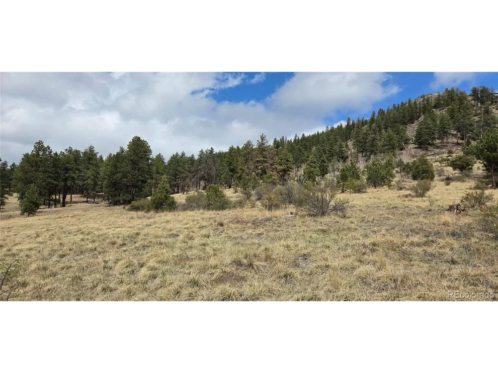 Unit for sale at 62430 US Highway 285, Bailey, CO 80421
