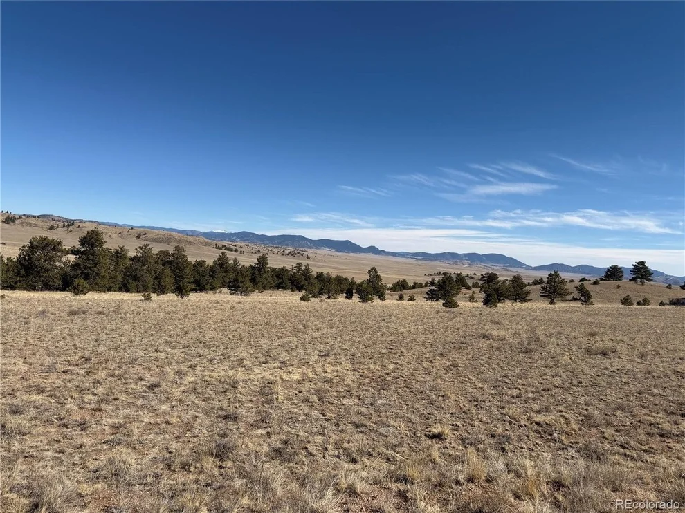 Unit for sale at 367 Arikara Trl, Hartsel, CO 80449