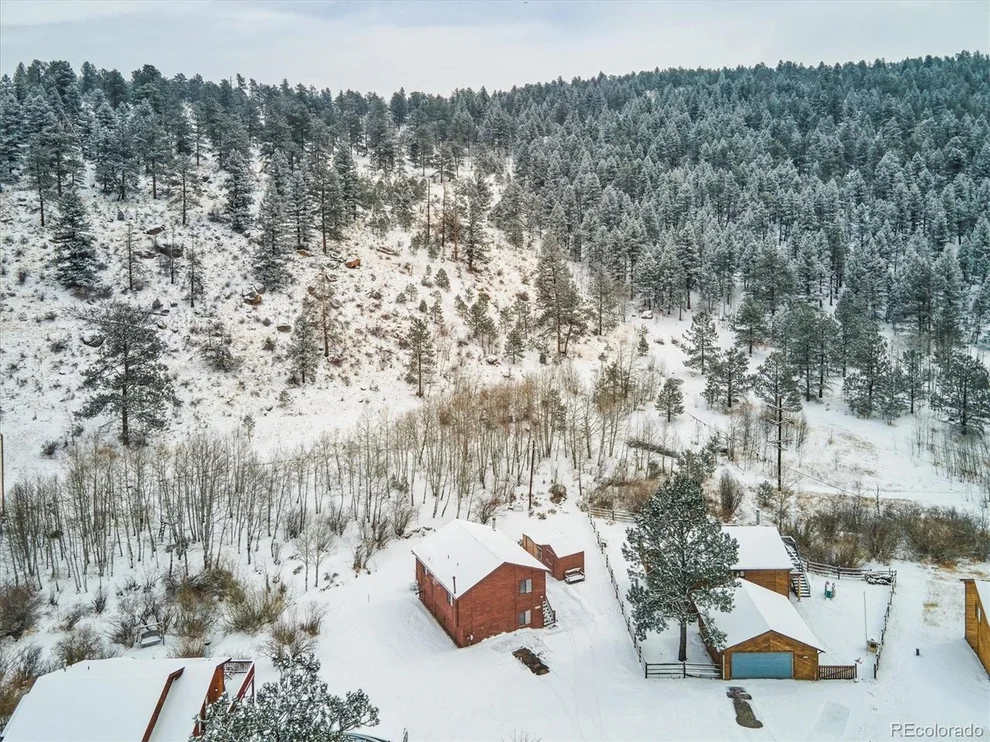 Unit for sale at 110 Buttermilk Ln, Bailey, CO 80421