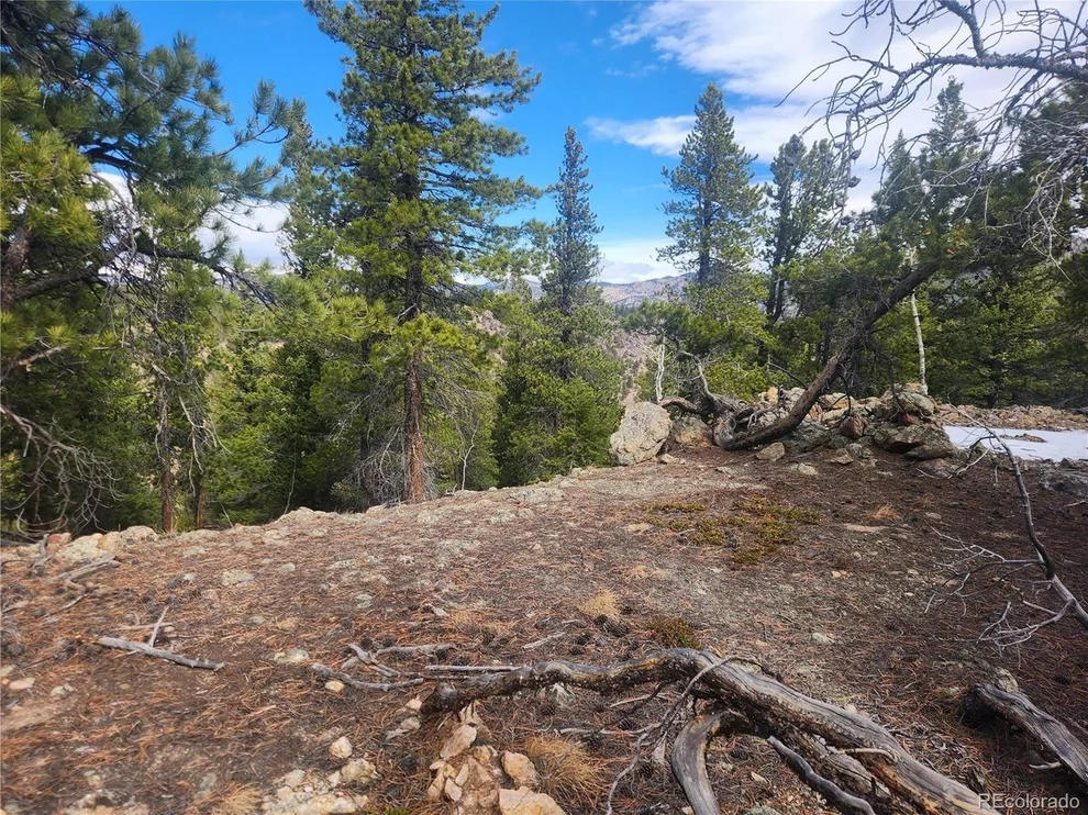 Unit for sale at Fools Gold Rd, Idaho Springs, CO 80452