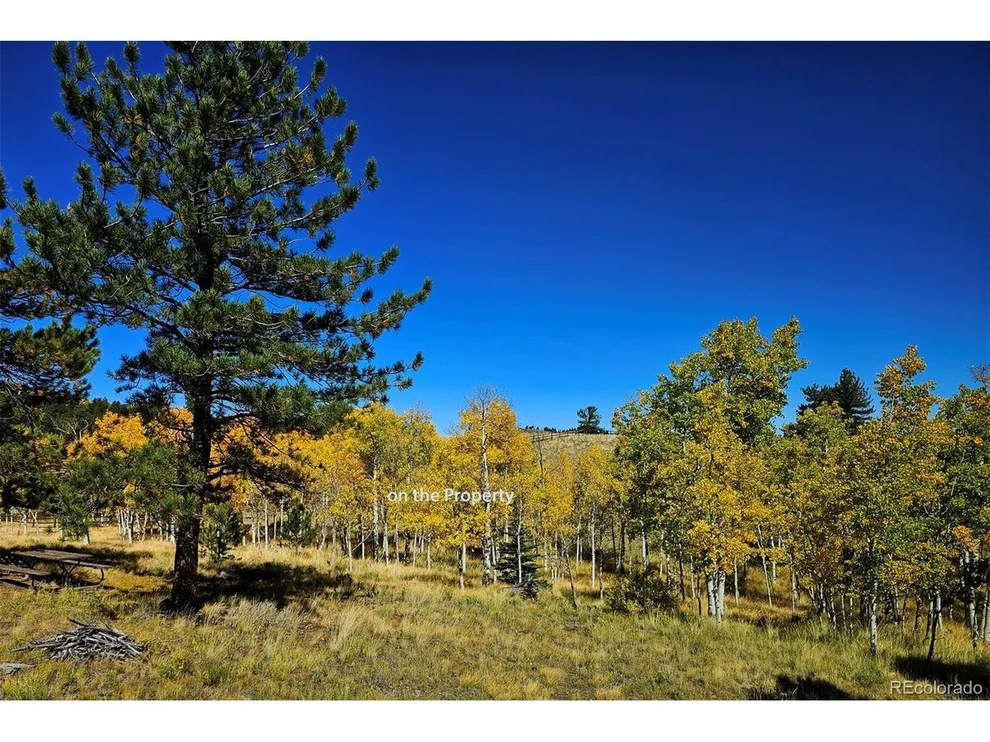 Unit for sale at 51 Singletree Ln, Hartsel, CO 80449