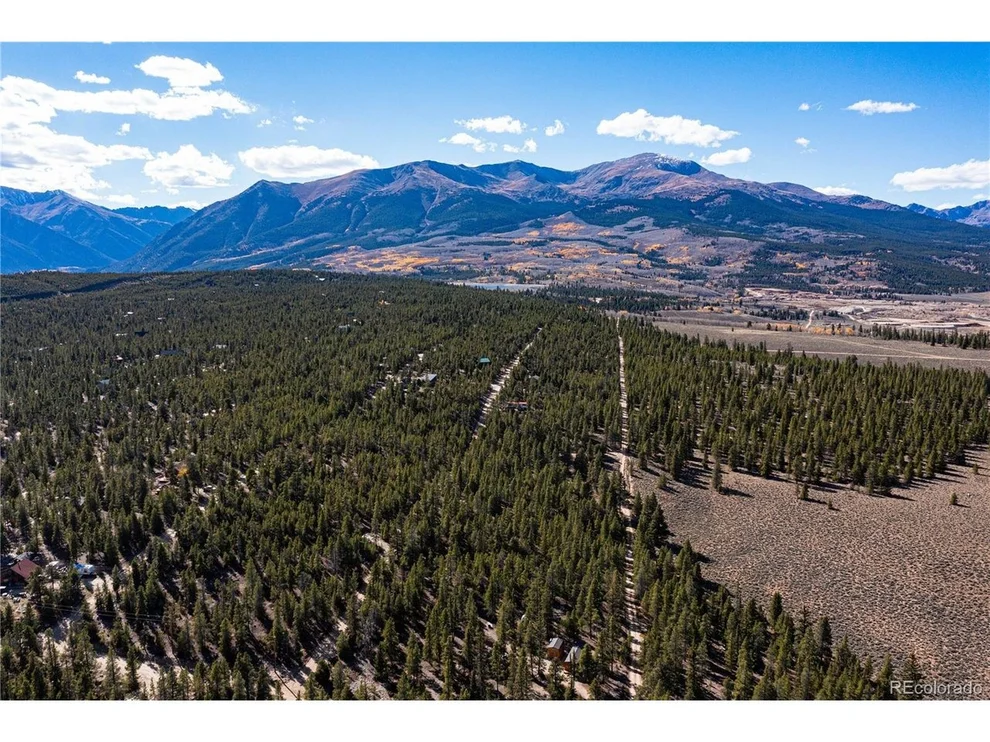Unit for sale at 66 Ponderosa Dr, Leadville, CO 80461