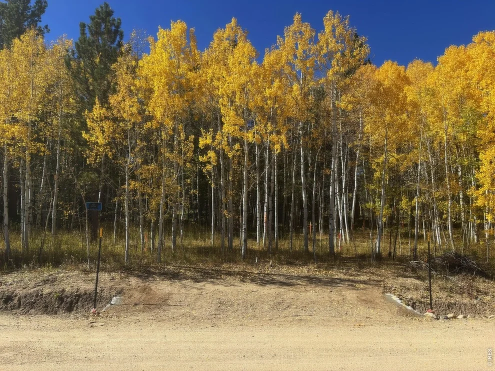Unit for sale at 75 Overland Dr, Ward, CO 80481