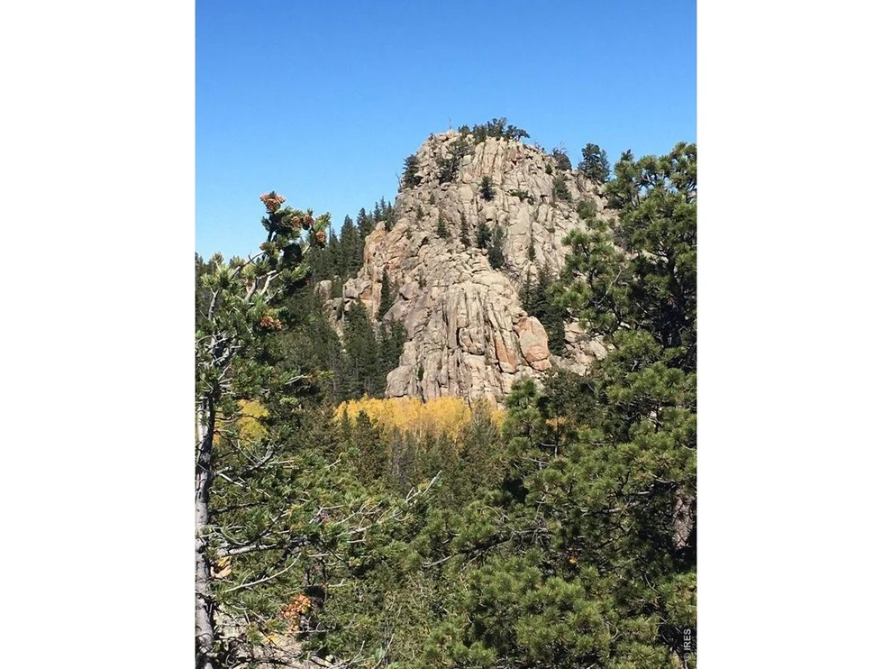 Unit for sale at Wandering Ln, Red Feather Lakes, CO 80545