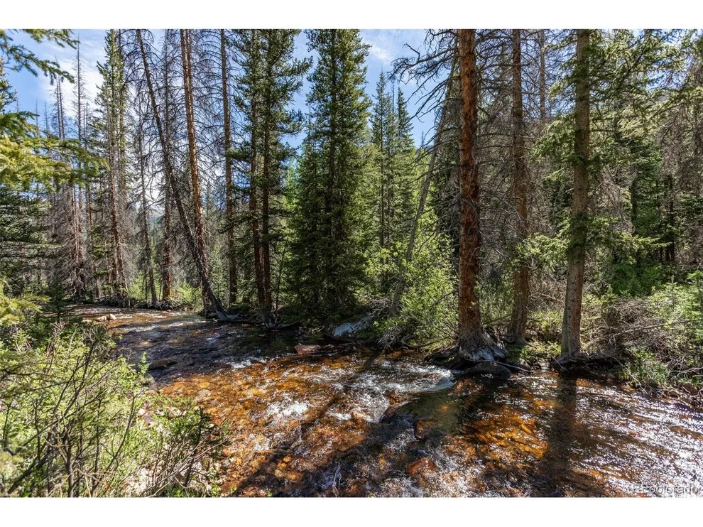 Unit for sale at 18990 Cr-294, Nathrop, CO 81236