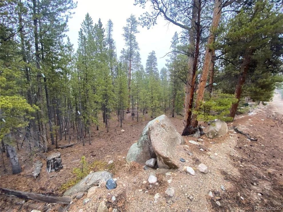 Unit for sale at 143 Juniper Dr, Twin Lakes, CO 81251