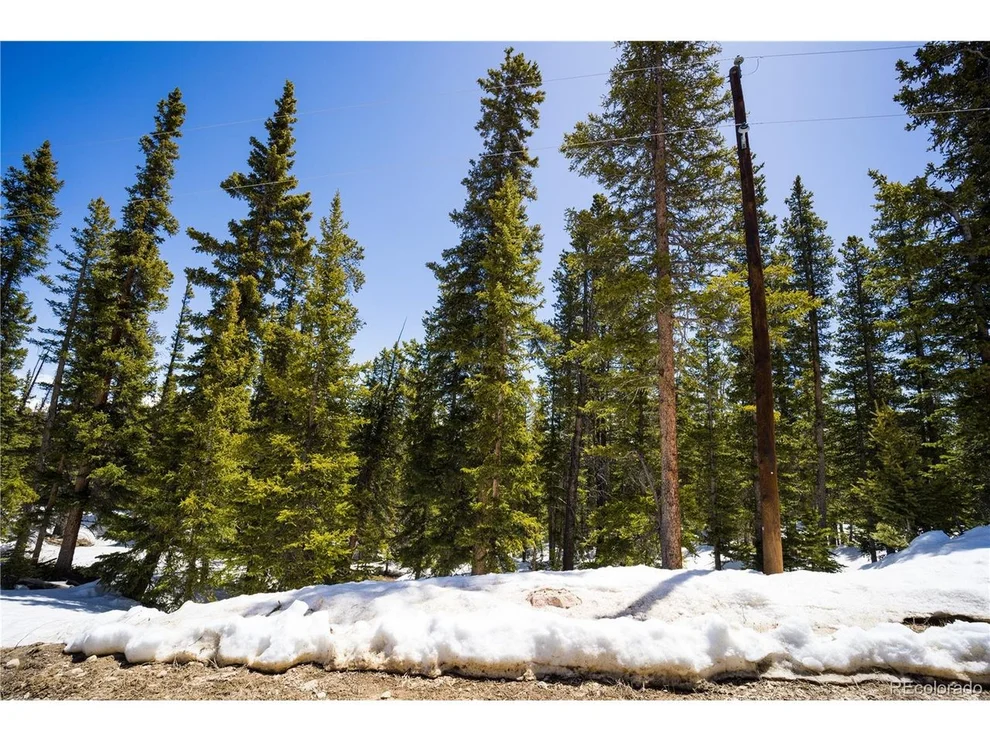 Unit for sale at 318 El Lobo Ln, Fairplay, CO 80440