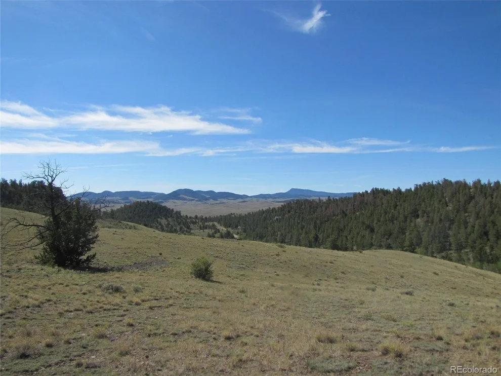 Unit for sale at 227 Keechi Rd, Hartsel, CO 80449