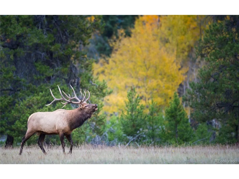Unit for sale at 600 Virginia Ave, Leadville, CO 80461