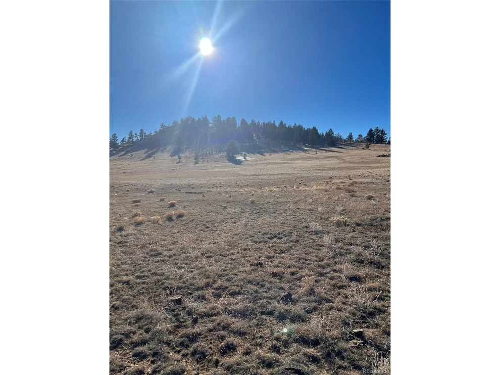 Unit for sale at 1642 Garfield Rd, Hartsel, CO 80449