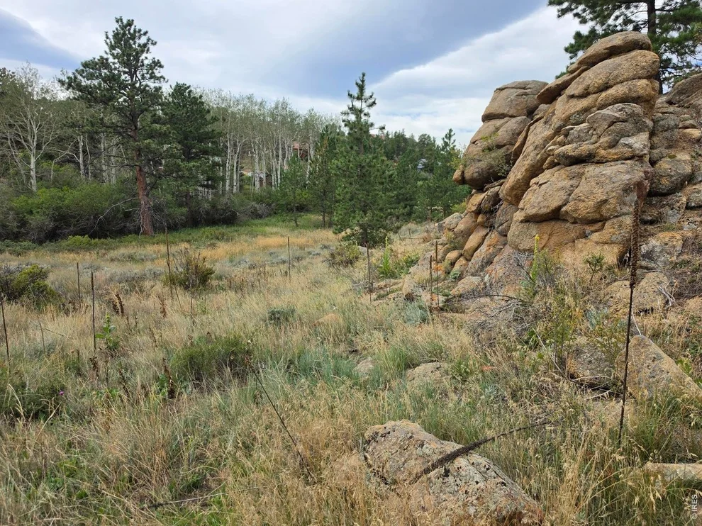 Unit for sale at 0 Lone Pine Ct, Red Feather Lakes, CO 80545