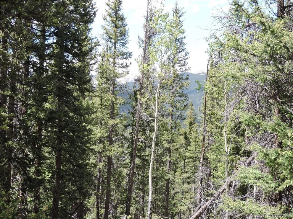 Unit for sale at 0 Georgia Pass Lookout, Jefferson, CO 80456