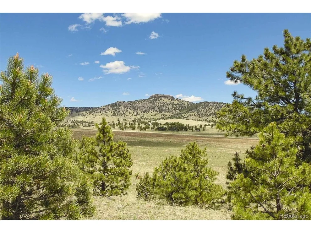 Unit for sale at 129 Eagle Nest Trl, Guffey, CO 80820