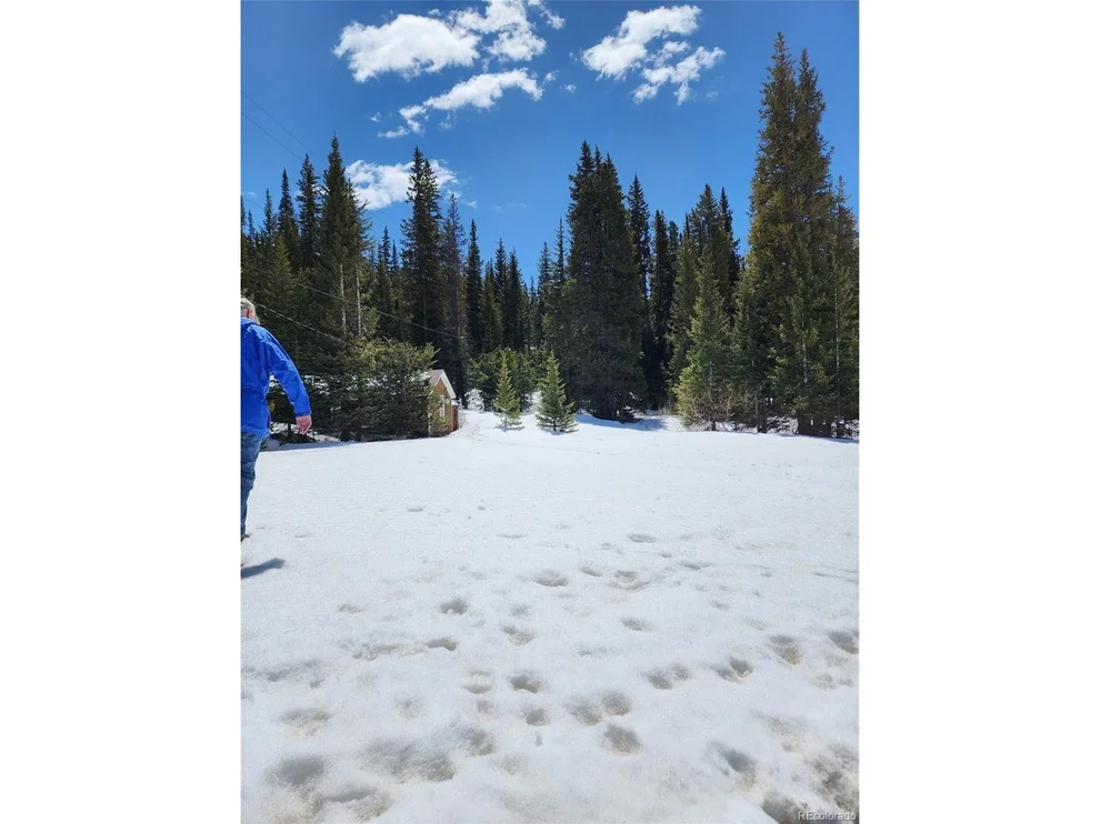 Unit for sale at Montezuma Dr, Montezuma, CO 80435