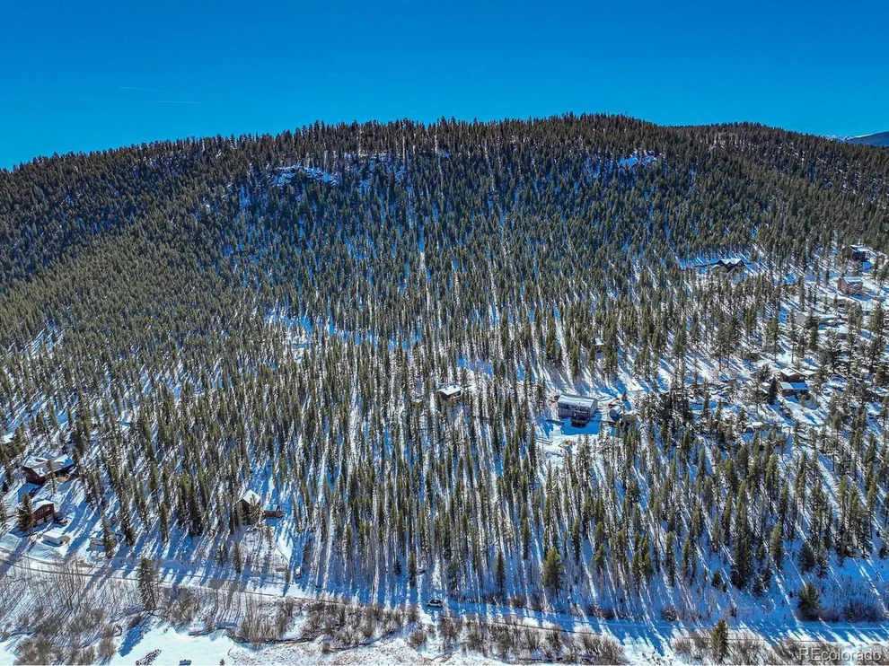 Unit for sale at 128 Park Rd, Bailey, CO 80421