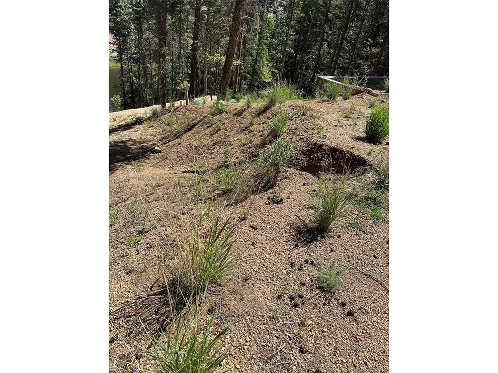 Unit for sale at 67 Gerka Ln, Florissant, CO 80816