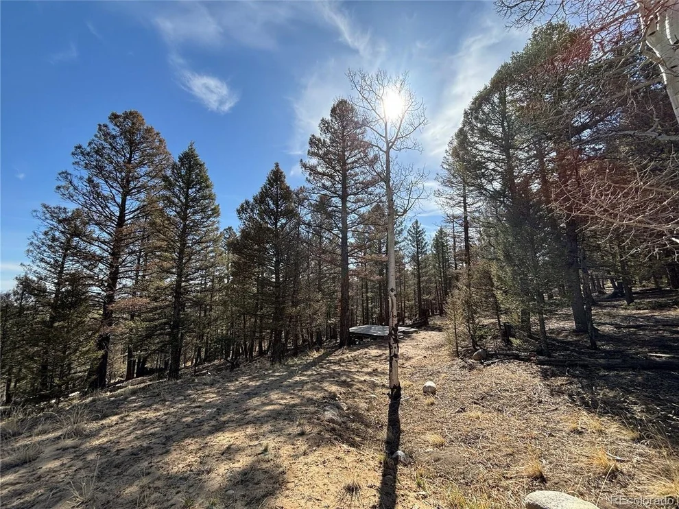 Unit for sale at 1980 Pitchfork Rd, Hartsel, CO 80449