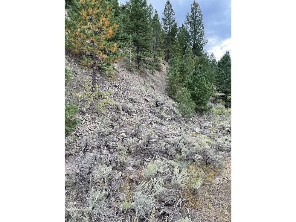 Unit for sale at 1577 Mears Ln, Salida, CO 81201