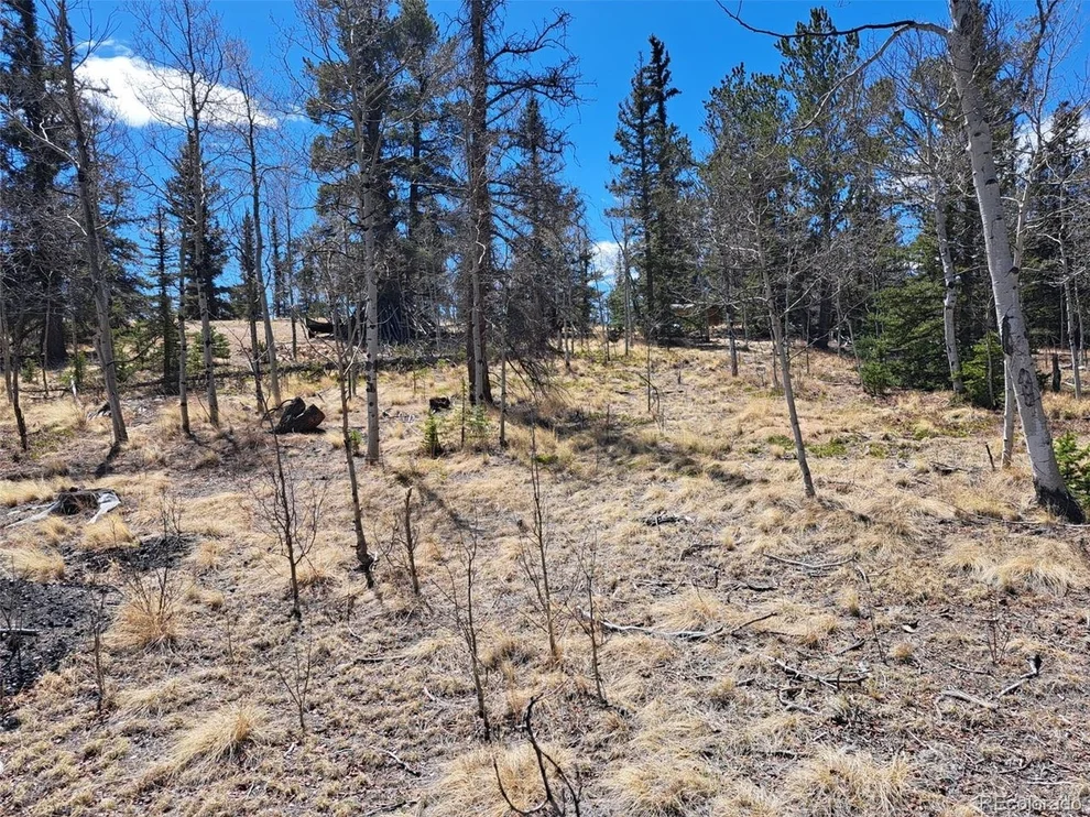 Unit for sale at 730 Tepee Trl, Como, CO 80432