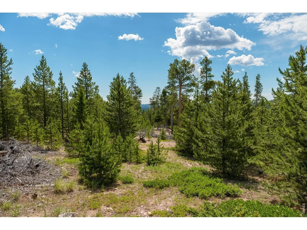 Unit for sale at 410 Pearl Creek Rd, Red Feather Lakes, CO 80545