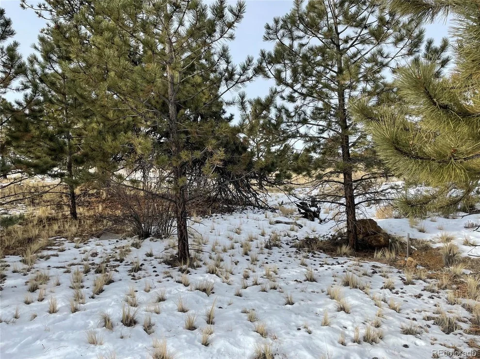 Unit for sale at Spring St, Hartsel, CO 80449