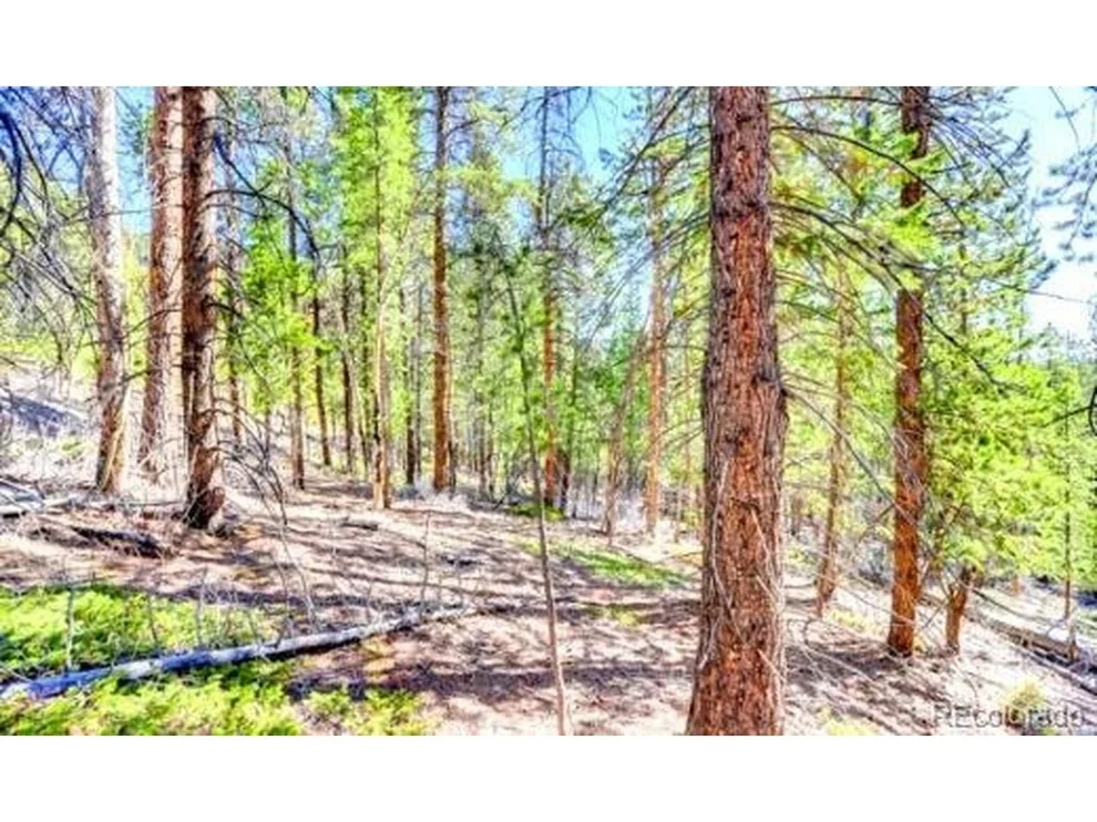 Unit for sale at 2222 Swift Claim Rd, Georgetown, CO 80444
