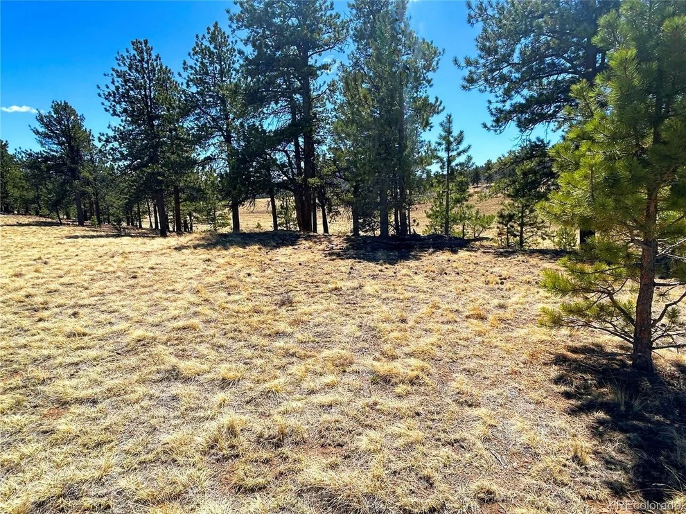 Unit for sale at Singletree Rd, Buena Vista, CO 81211