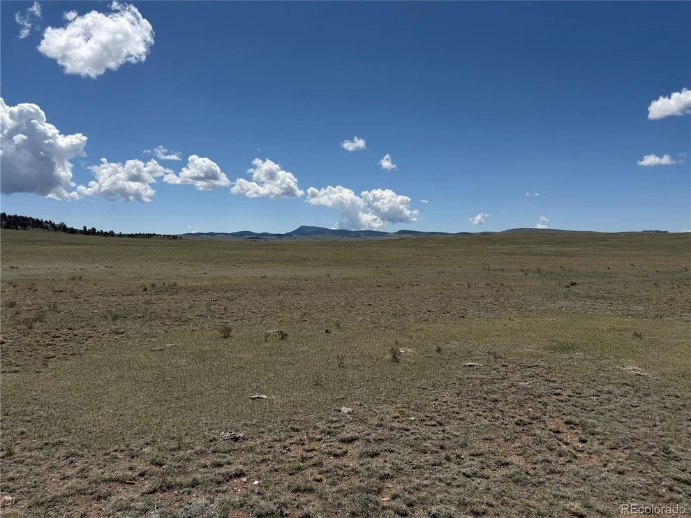 Unit for sale at 1338 Chimapavi Trl, Hartsel, CO 80449
