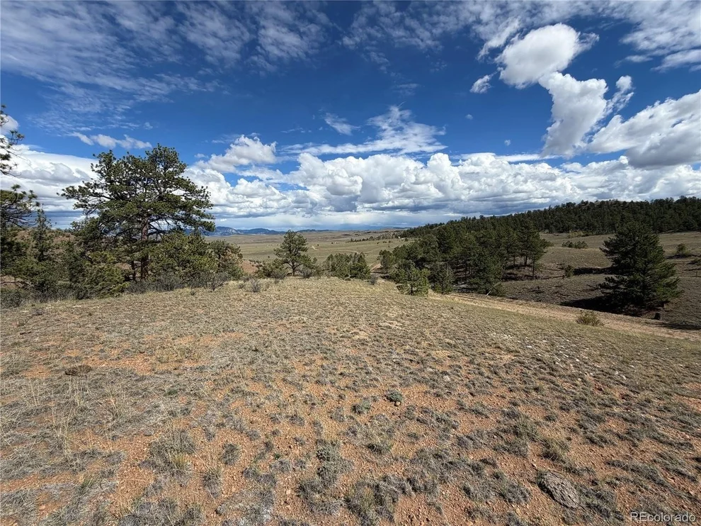 Unit for sale at 0 Wren Ct, Hartsel, CO 80449