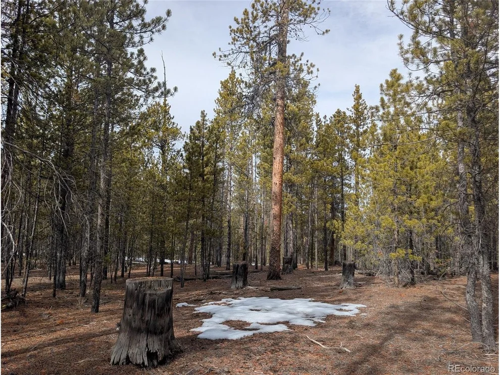 Unit for sale at 179 Cedar Dr, Twin Lakes, CO 80461