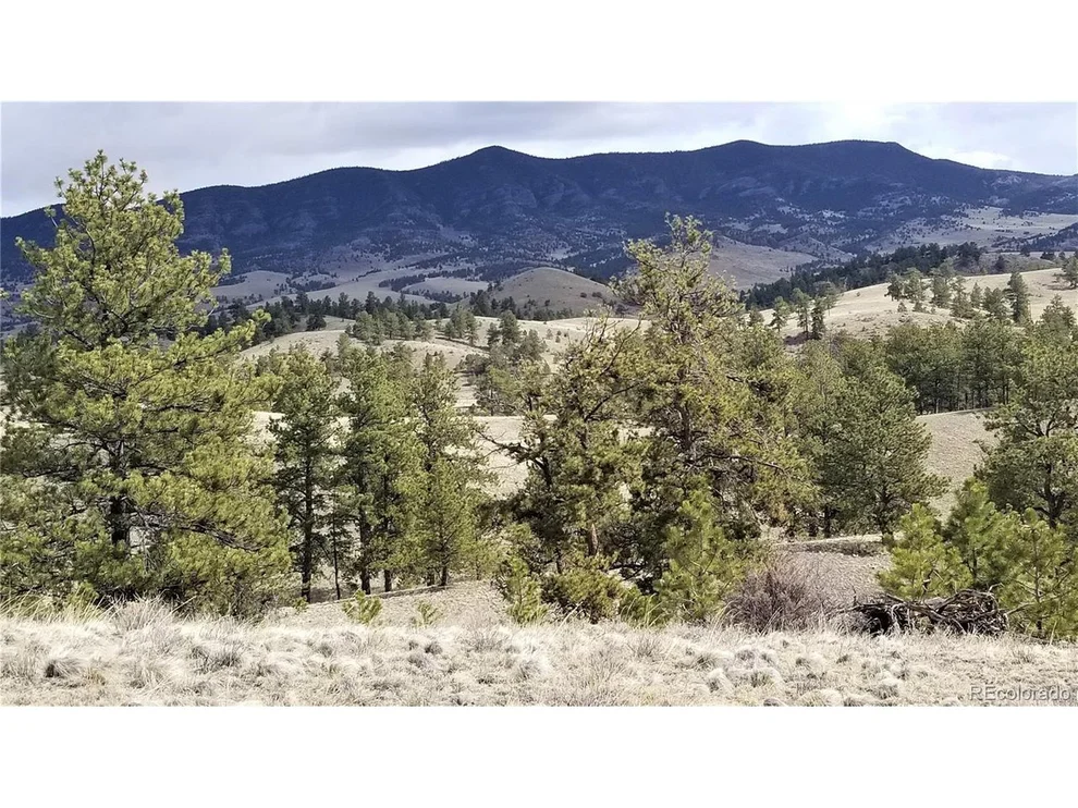 Unit for sale at Coyote Dr, Guffey, CO 80820