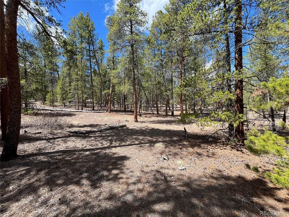 Unit for sale at 1013 Sequoia Dr, Twin Lakes, CO 81251